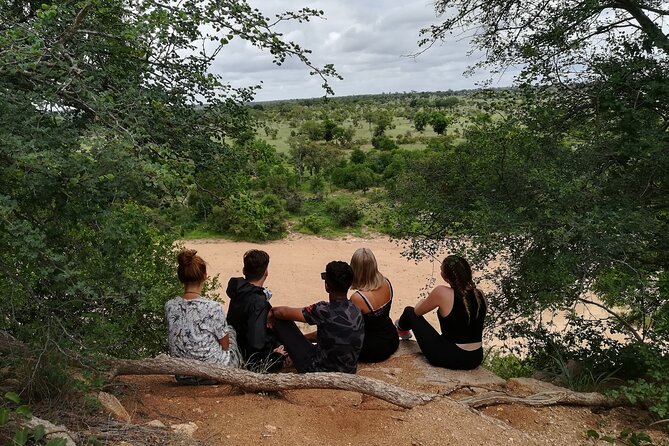 5 Day Kruger National Park Tour - Tour Overview