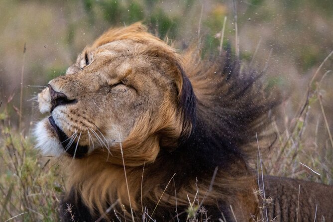 5-Day Lakes and Masai Mara Plains 4 X 4 Safari - Tour Overview