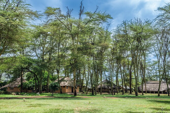 5 Day Safari Tour to Tarangire Lake Manyara and the Ngorongoro