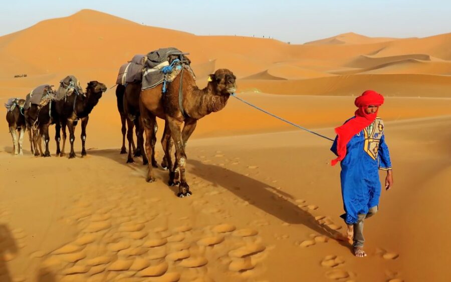 (5 Days) Combined Atlas Mountains & Valley and Sahara Deser