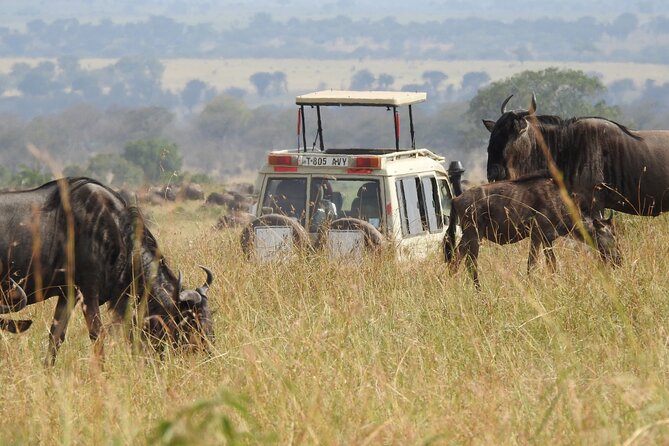 5-Days Lake Manyara, Serengeti, Ngorongoro Crater and Tarangire