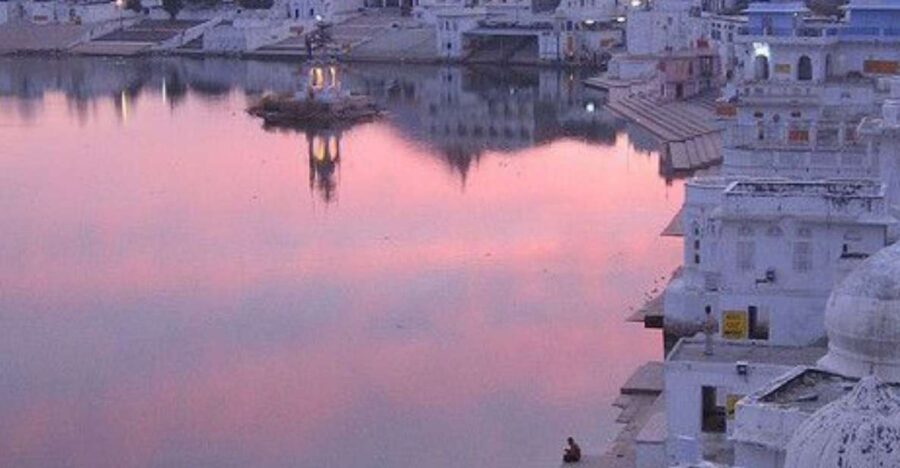 5 Days Luxury Private Tour by Car Jaipur Ranthambor Pushkar. - Tour Overview and Pricing