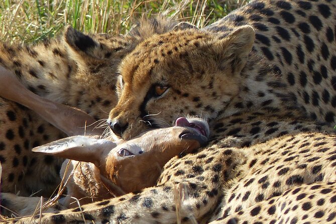 5 Days Magical Kenya Safari Private Tour