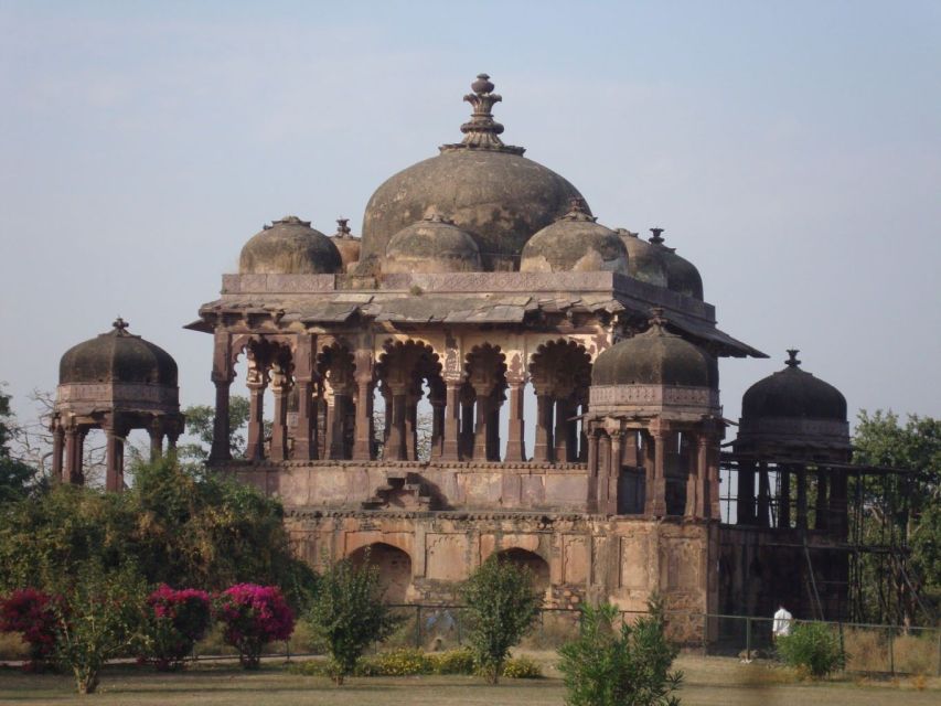 5 Days Motorbike Tour of Jaipur, Ranthambor and Pushkar. - Tour Experience and Highlights