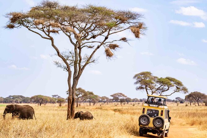 5 Days Private Tarangire, Serengeti, Ngorongoro, Manyara Safaris