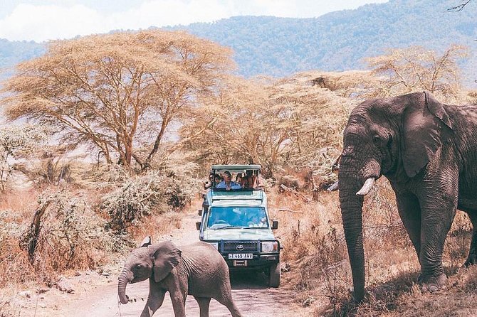 5 Days Serengeti, Ngorongoro, Tarangire & Manyara Lodge Tour