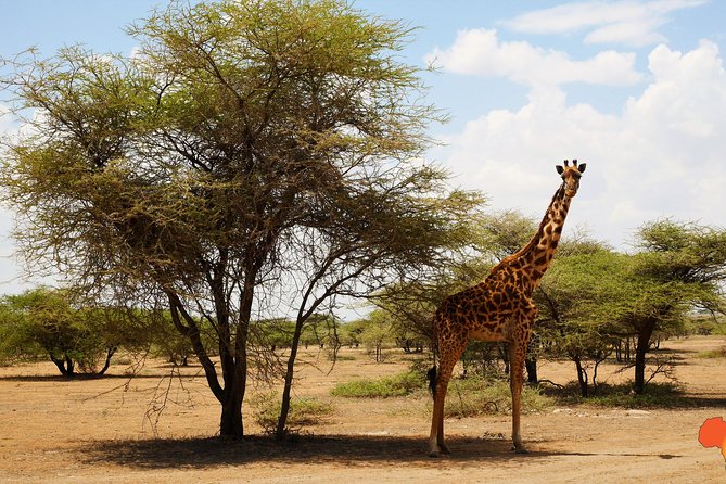 5 Days Tanzania Camping Safari - Overview of the Safari