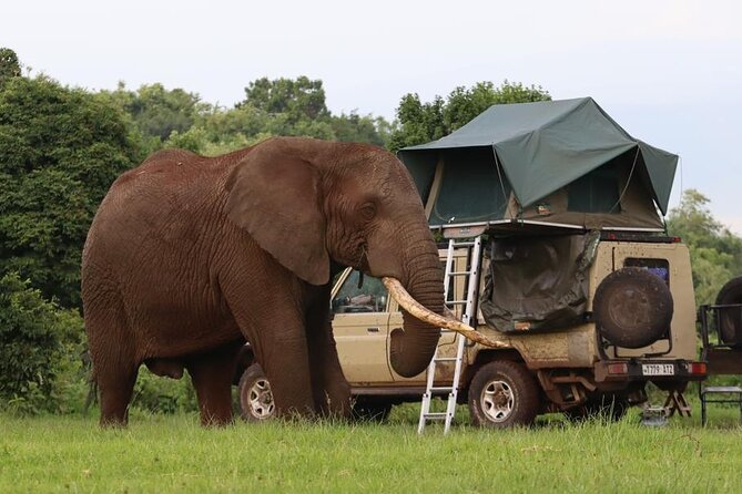 5 Days Tanzania Joining Safari With Pick up Included Shared Tour