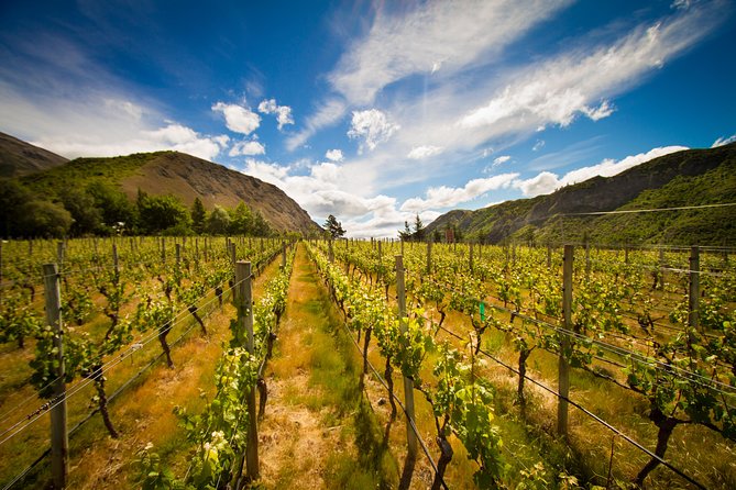 5-Hour Wine and Food Sampler Tour From Queenstown - Inclusions and Logistics