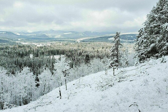 5 Hours Winter Wonderland Guided Hike to Fullerton Loop