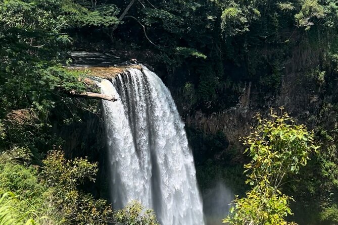 5 Hrs. Kauai Eastside Small Group Tour. Short & Sweet