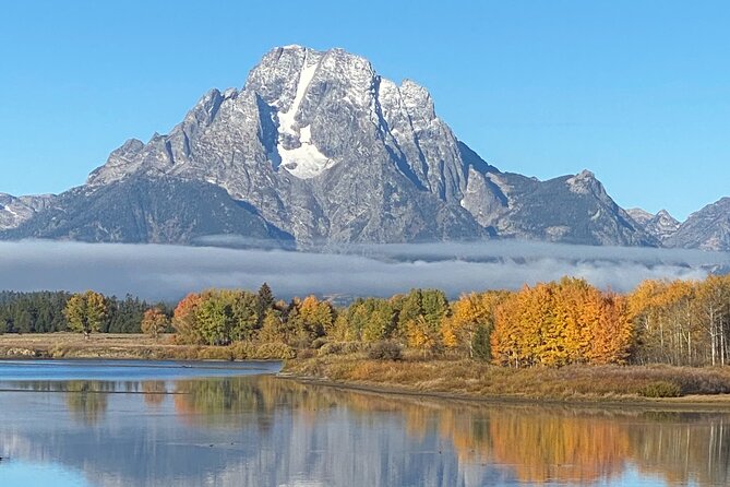 5 Person Full Day PRIVATE Yellowstone Tour- Picnic, Binoculars, Scope, Huge Van