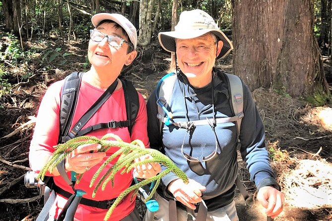 6-7 Hours Private Kauais Hidden Gems Experience With Snacks