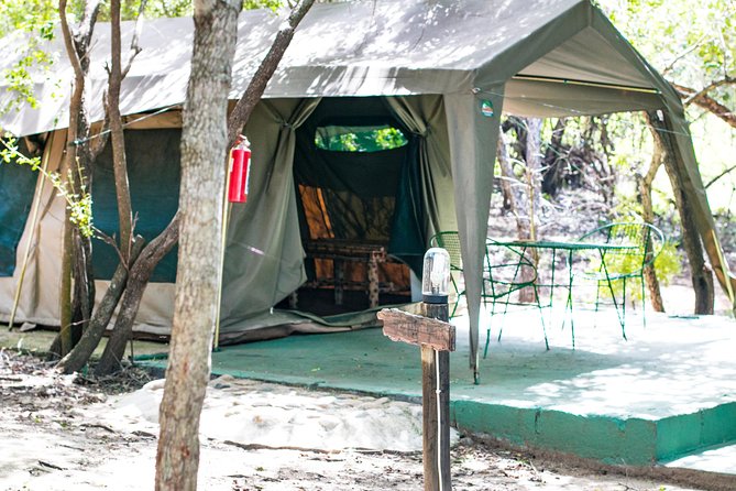 6 Day Budget Kruger National Park Safari - Tour Overview and Highlights
