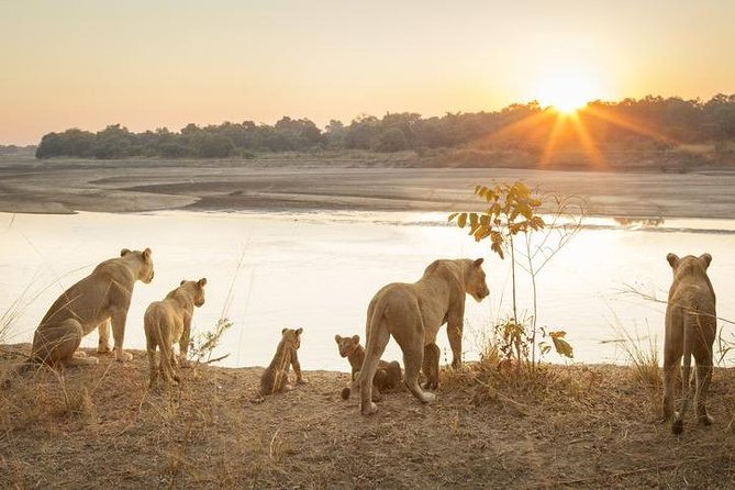 6-Day Budget Lodge Safari in Tanzania