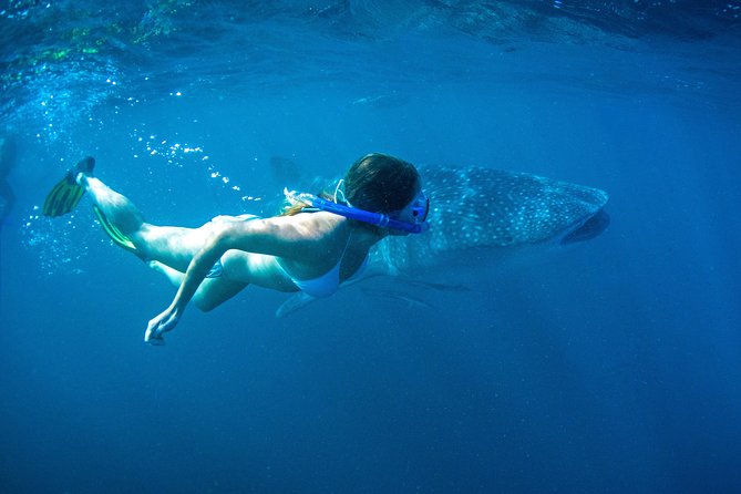 6-Day Coral Coaster From Perth to Exmouth One-Way via Monkey Mia Ningaloo Reef - Included Amenities