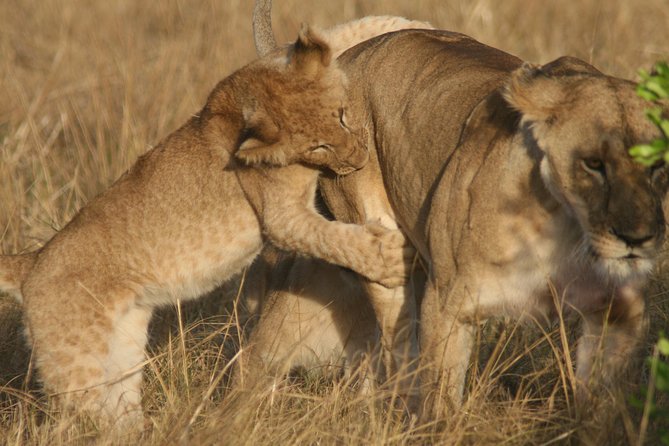 6 Days 5 Night Safari - Safari Overview