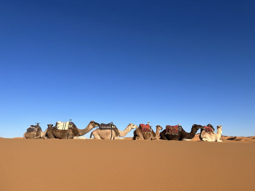 6 Days Journey Through the Cultural Wonders of Morocco - Tour Overview