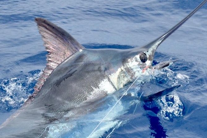 6 Hour Fishing Charter