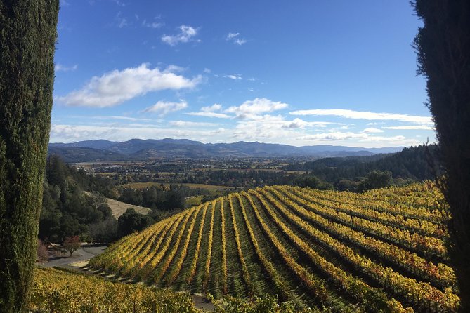 6-Hour Private Wine Country Tour of Napa Valley (Up to 6 People) in Large SUV