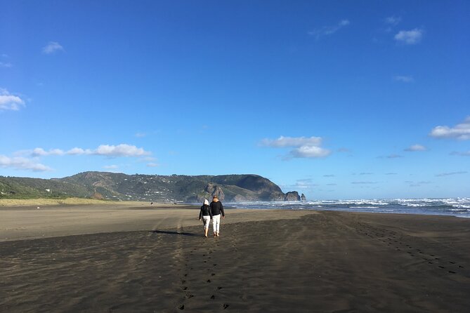 6 Hours Sightseeing Tour in Auckland