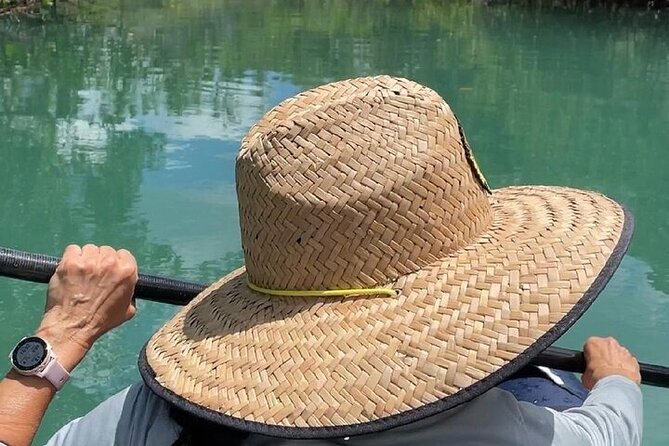 6-Hr Tropical Mangroves, Coastal River and Ocean Wildlife Watch