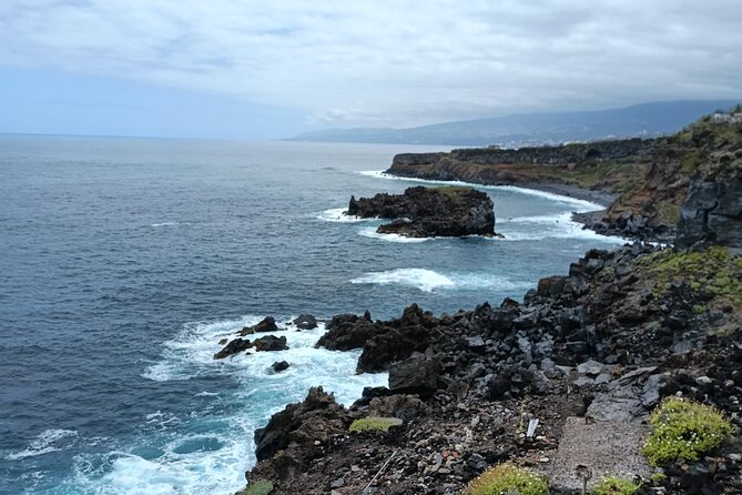 6hrs Private Tour in North Coast of Tenerife - Exploring the North Coast