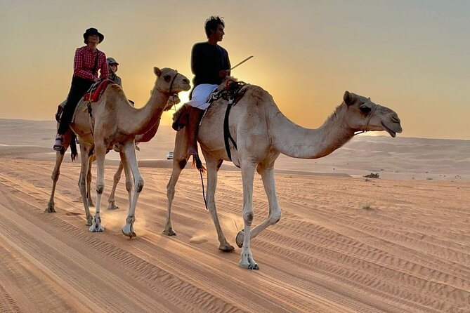 7-8 Hours Private Desert Adventure Trip With Activities