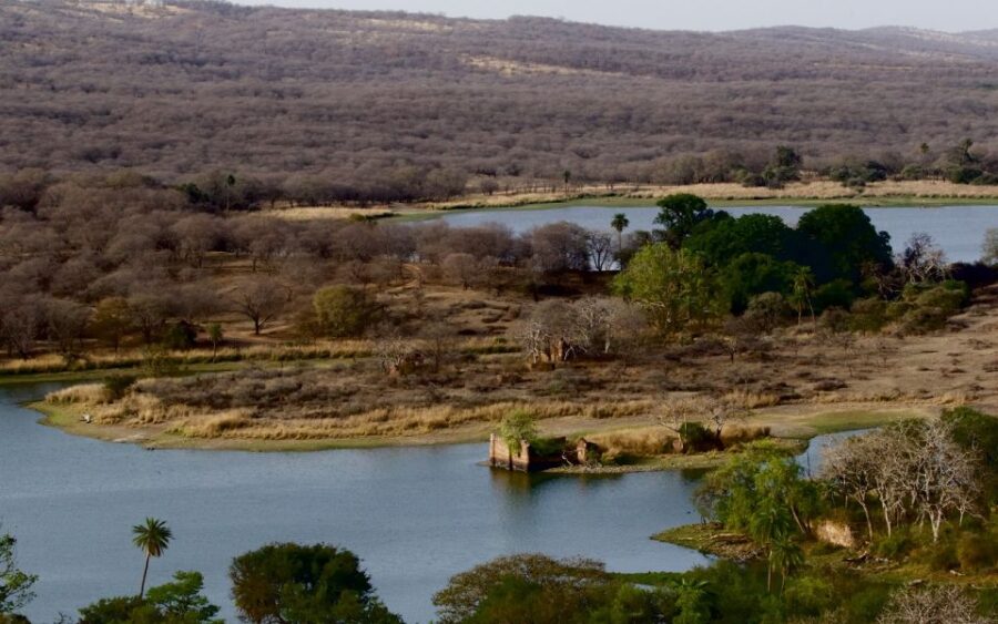7 Days India Taj Mahal Tour With Ranthambore Tiger Safari - Tour Overview