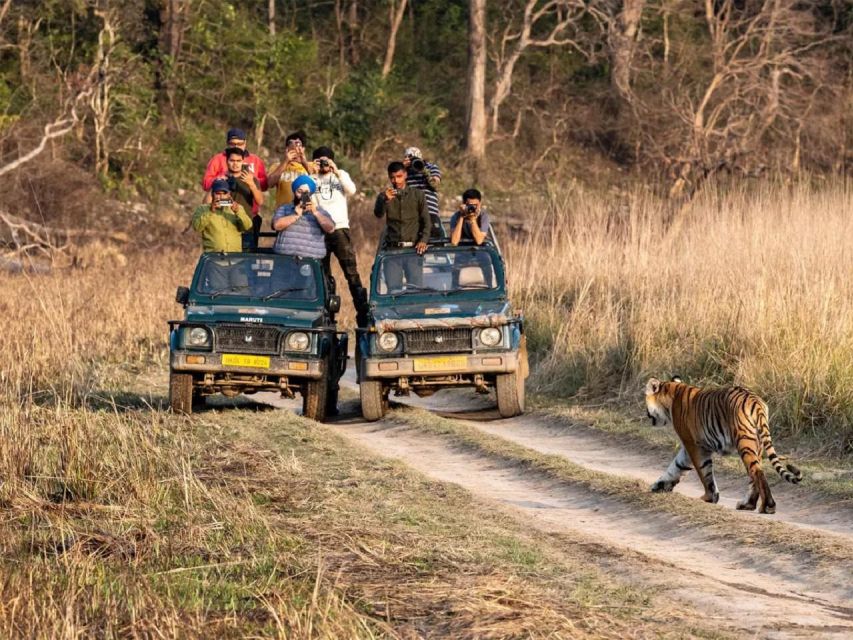 7 Days Jim Corbett Nainital Tour With Taj Mahal Tour - Arrival in Delhi