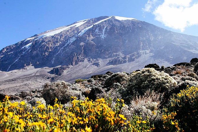 7 Days Machame Route Trek Mount Kilimanjaro