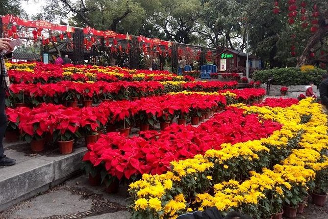 7-Hour Customised Private Guangzhou Sightseeing and Shopping Tour