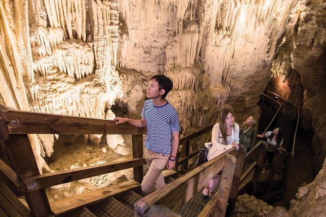 75-Minute Guided Ruakuri Cave Tour Waitomo