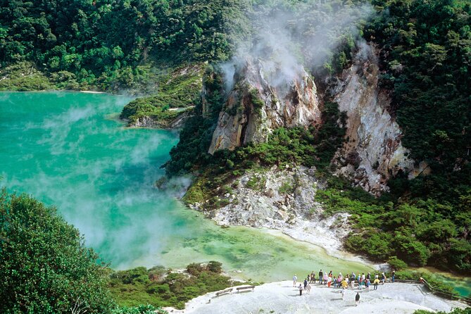 7hr Waimangu Geothermal Valley & Lake Rotomahana Tour - Departs Tauranga