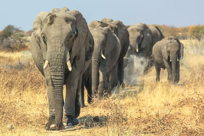 8 Day Safari The Best of Tanzania & Lake Eyasi