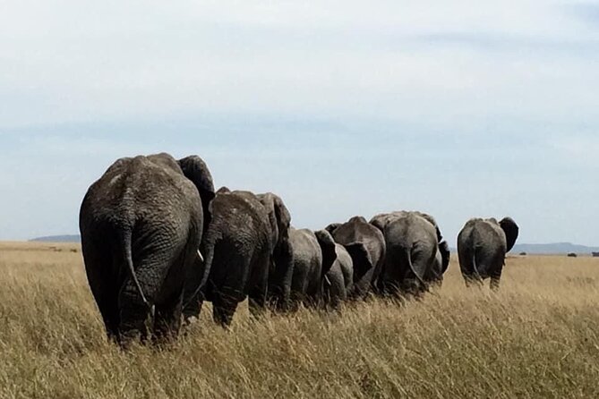 8 Days Green Season Offer – Luxury Serena Safari