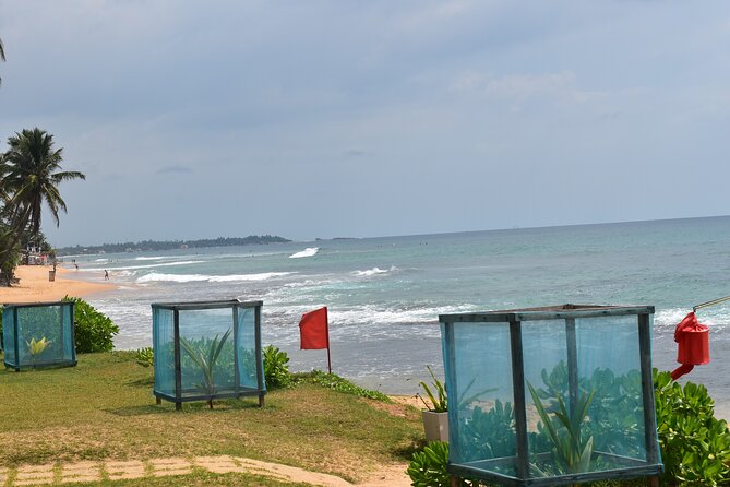 8 Days Hill Country and Coastal Tours in Sri Lanka