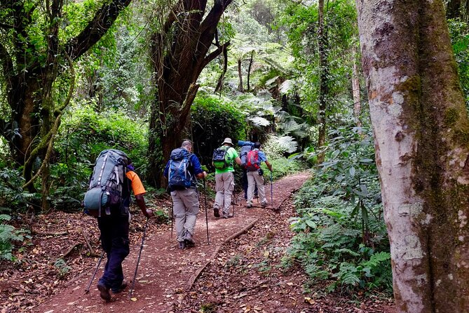 8 Days Mountain Kilimanjaro Lemosho Route