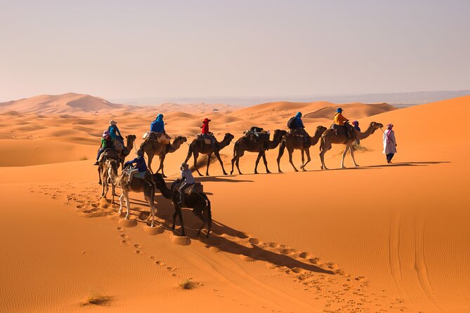 8D Morocco Luxury Private Tour From Casablanca By Imperial Cities - Itinerary Highlights