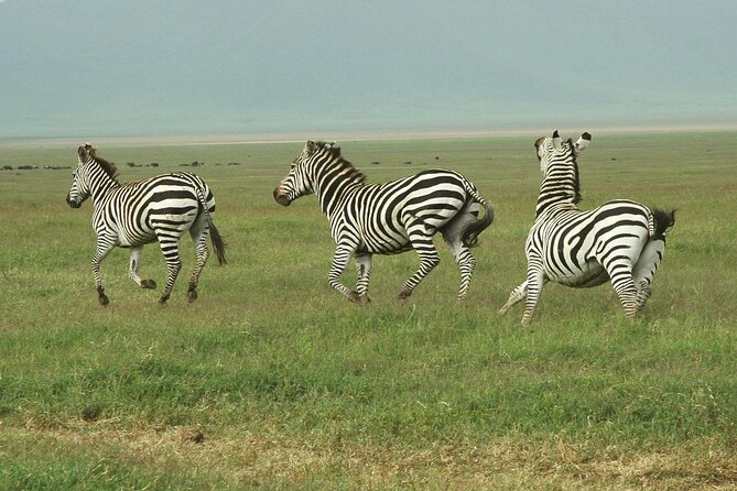 9-Day Ultimate Tanzania Honeymoon Safari Luxury Package