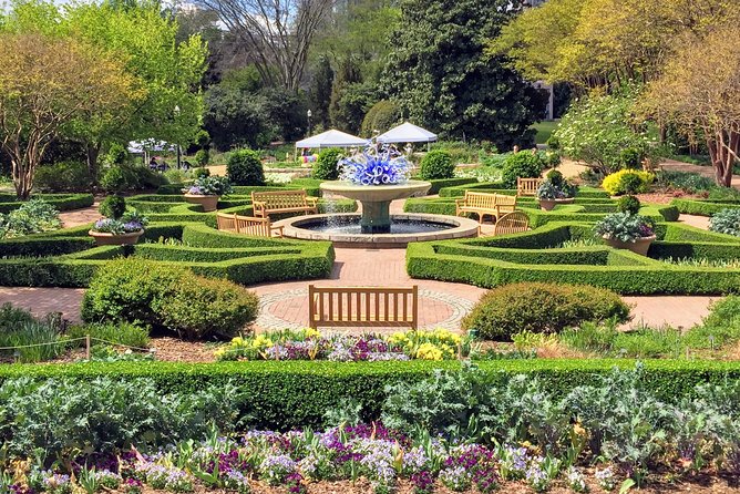 A City in a Forest: Private Atlanta Nature Tour