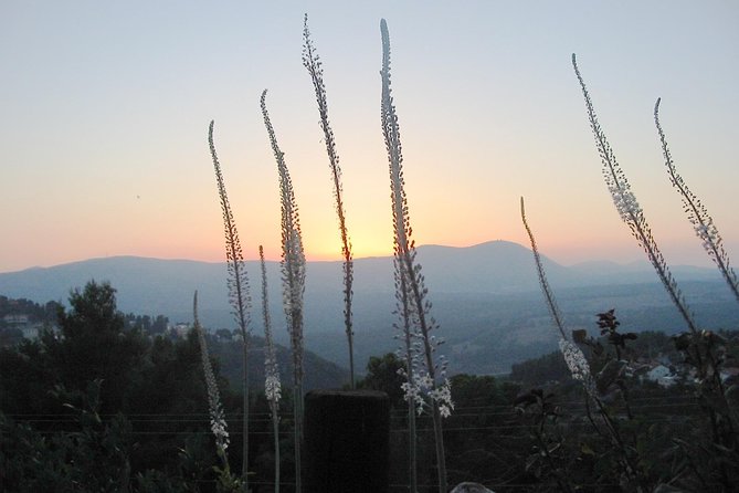 A Day of Spiritual Discovery in the Upper Galilee
