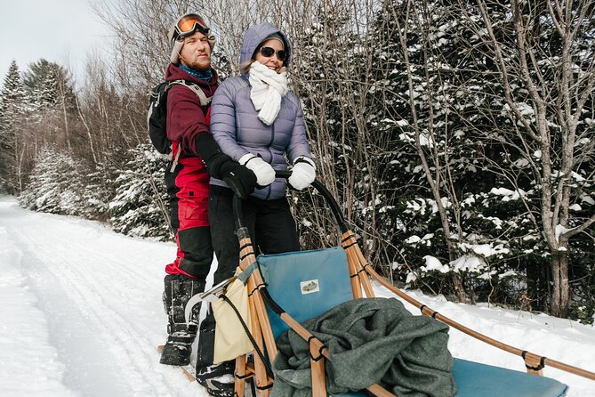 A Day With a Bite in It for Sled Dogs