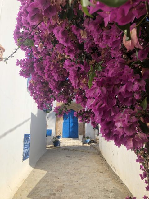 A Full Day Tour of Carthage, Sidi Boussaid, and the Medina of Tunis