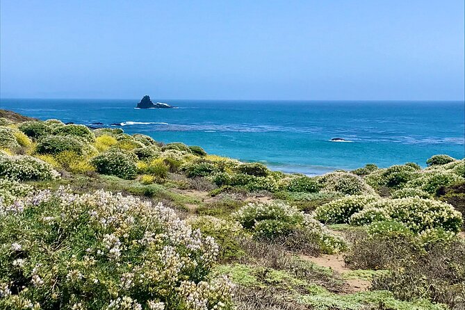 A La La Tour - Private Tour of Californias Central Coast - Tour Logistics