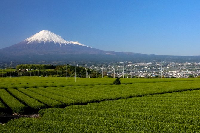 A Trip to Enjoy Groundwater and Nature Behind Mt. Fuji