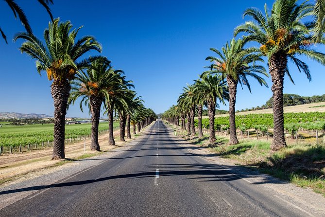 A Truly Barossan Wine Experience – High-End Private Day Tour