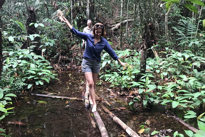 A Whole Day in the Jungle - Activities and Experiences
