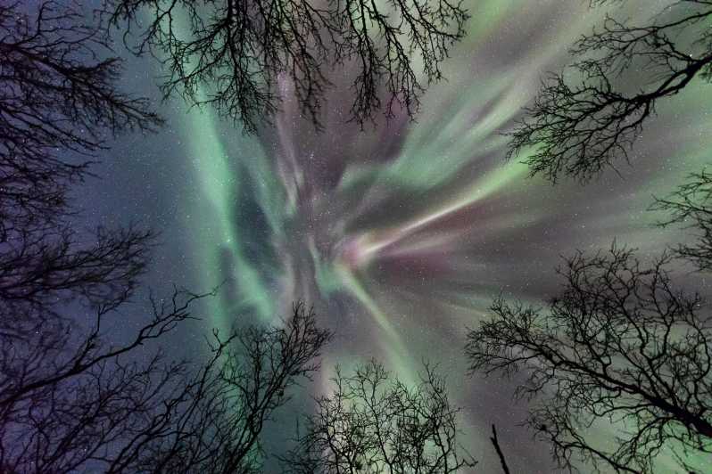 Abisko: Guided Autumn Aurora Chase With Hotel Transfers