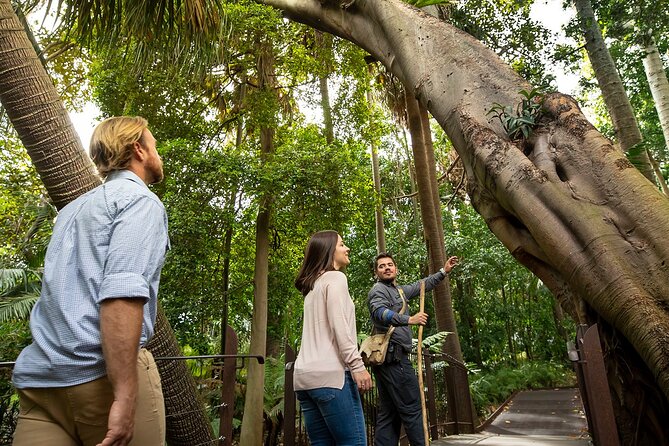 Aboriginal Heritage Walk - Royal Botanic Gardens Victoria, Melbourne Gardens - Ancestral Lands of the Koolin Nation